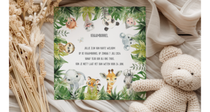 Kraamborrel kaartjes