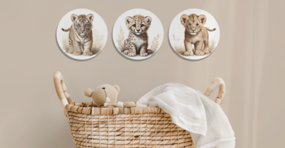 Muurcirkels set van 3