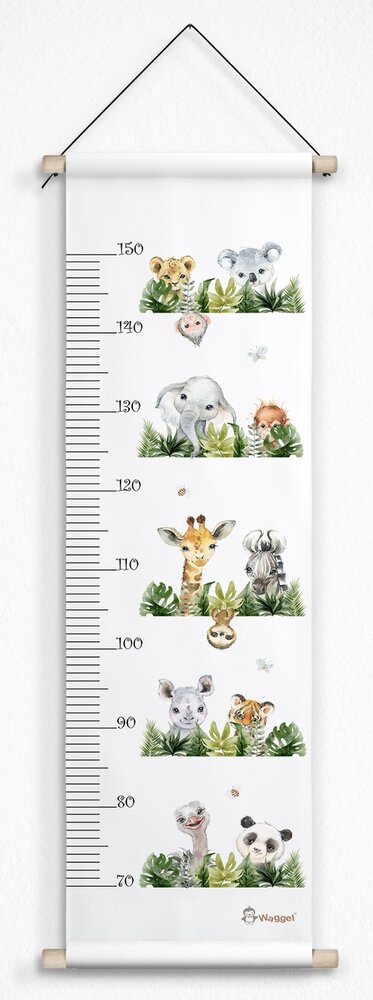 jungle groeimeter