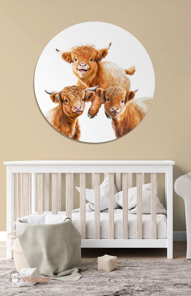 schotse hooglanders muurcirkel