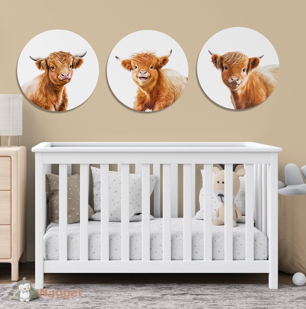 schotse hooglanders muurcirkels