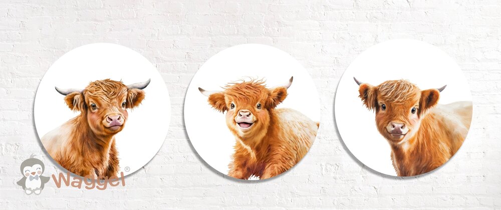muurcirkels met schotse hooglanders
