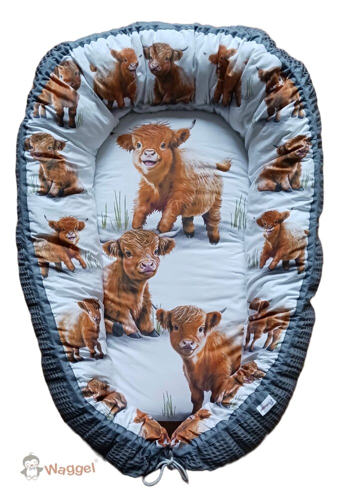 Babynestje Schotse Hooglanders 