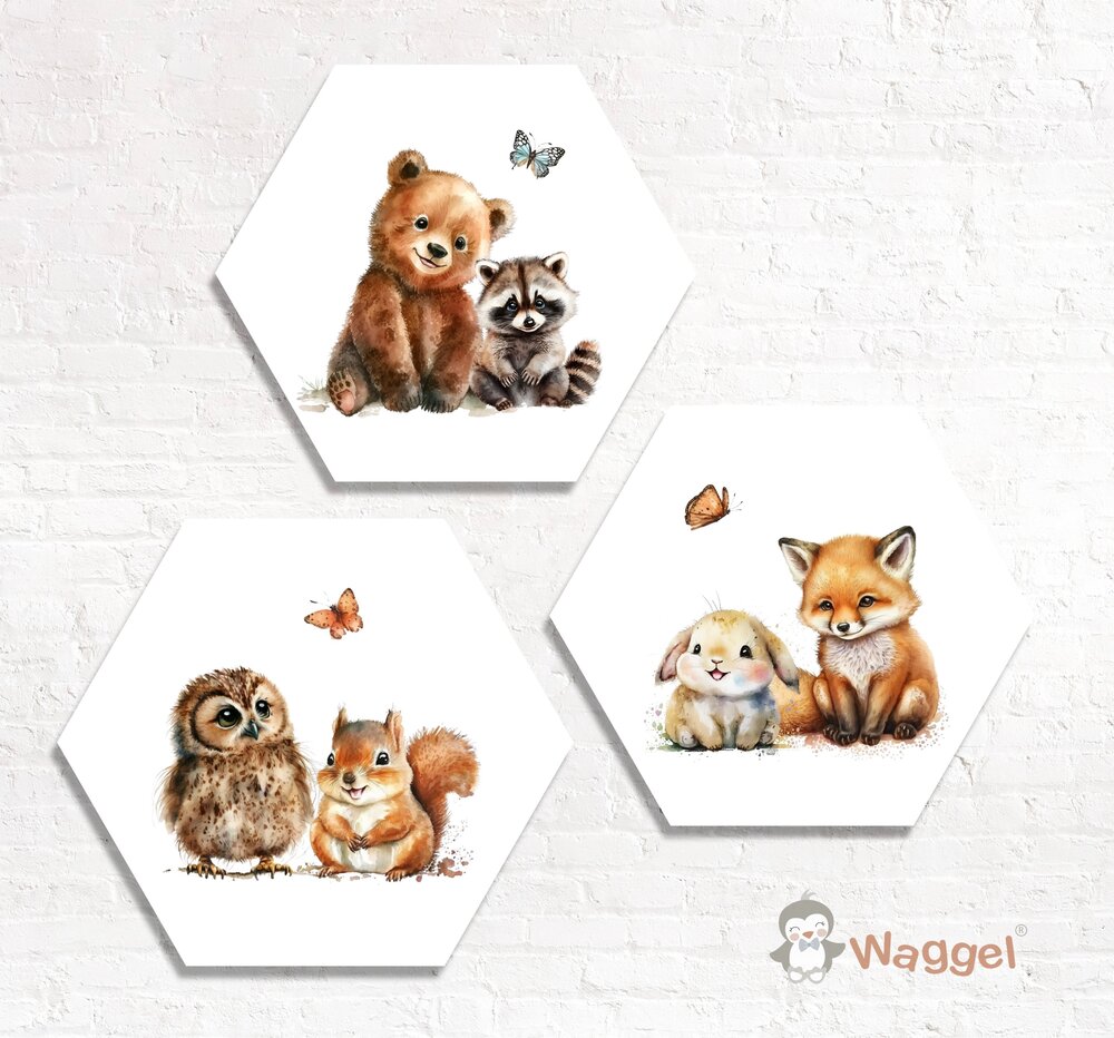 Hexagon set Magic Forest