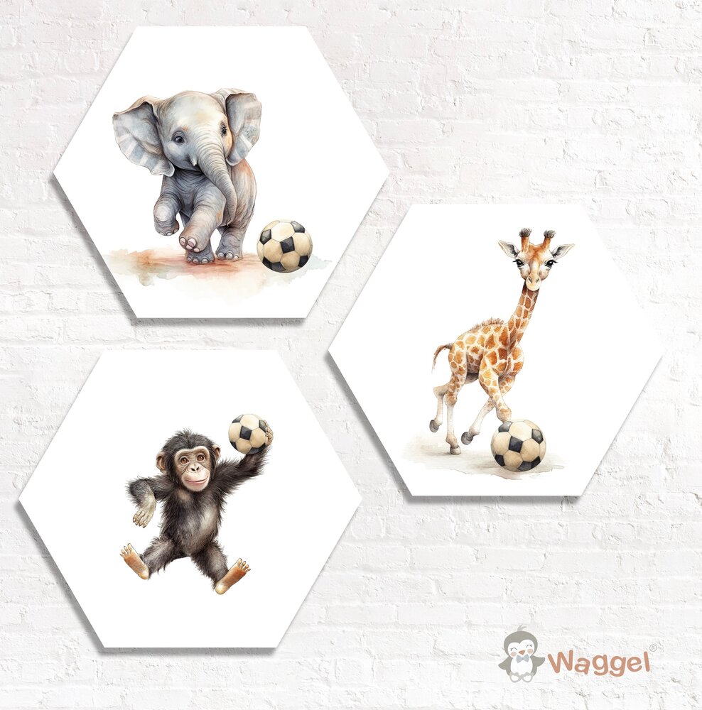 Hexagon set Jungle Ball olifant, giraf en aap