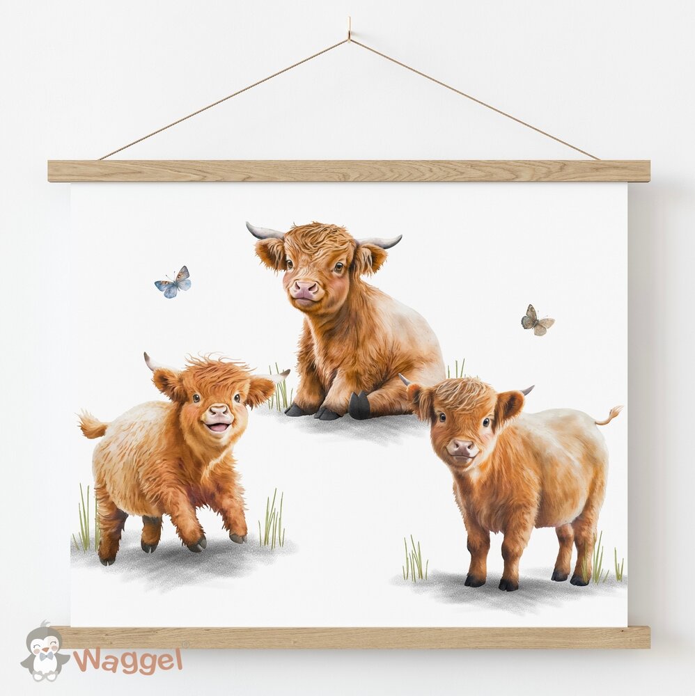 poster schotse hooglanders