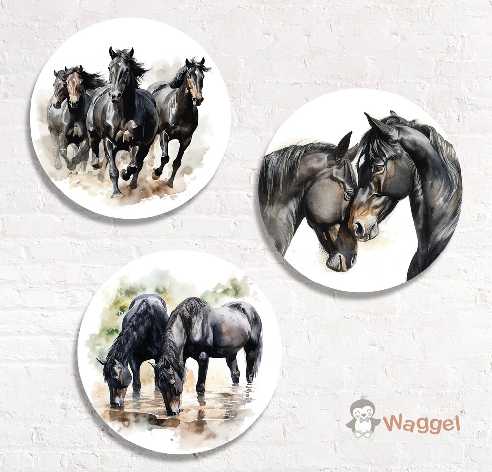 paarden muurcirkels