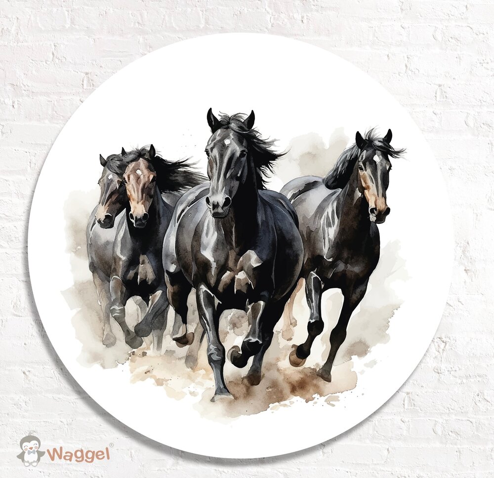 paarden muurcirkel