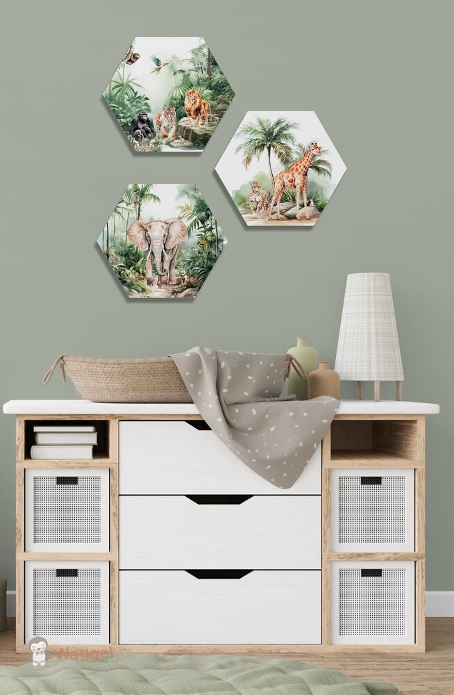 Hexagon set Tropical jungle forest