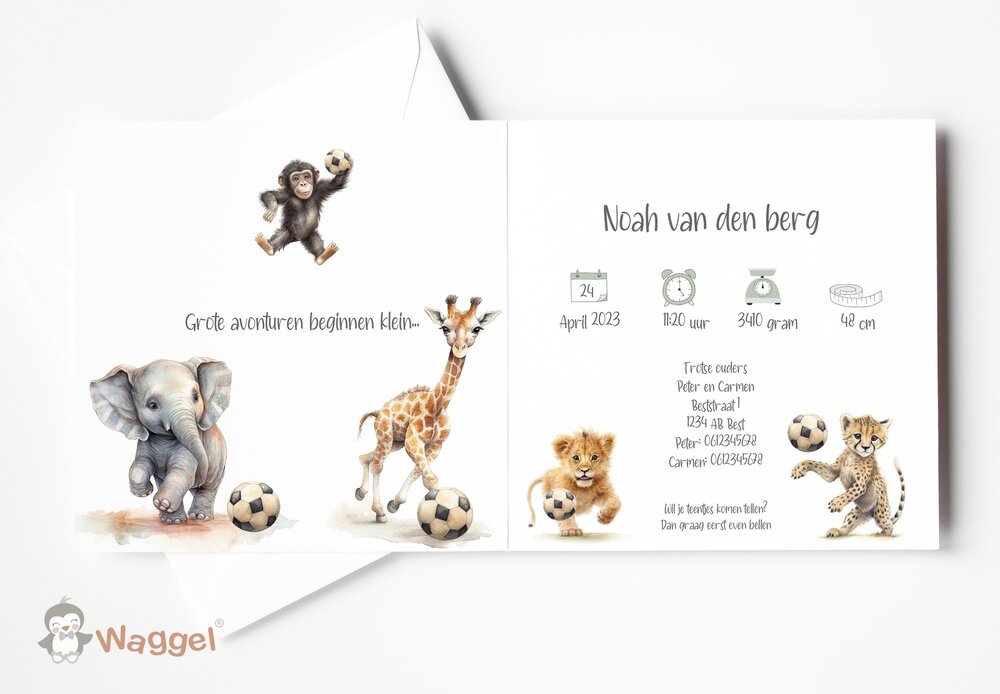 Geboortekaarten Jungle Ball