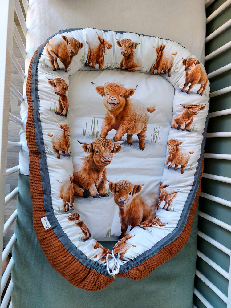Babynestje Schotse Hooglanders 