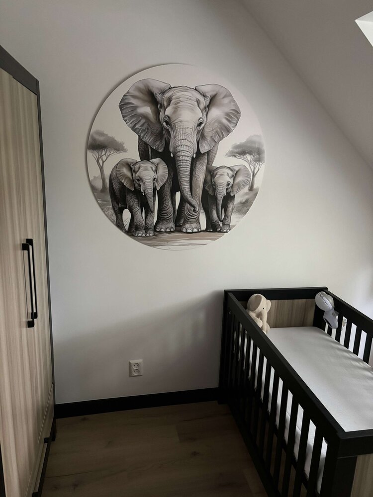 muurcirkel olifant