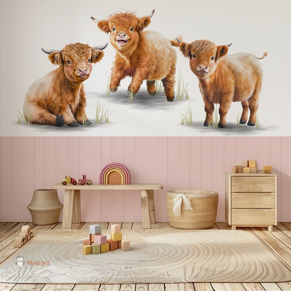 behang met schotse hooglanders