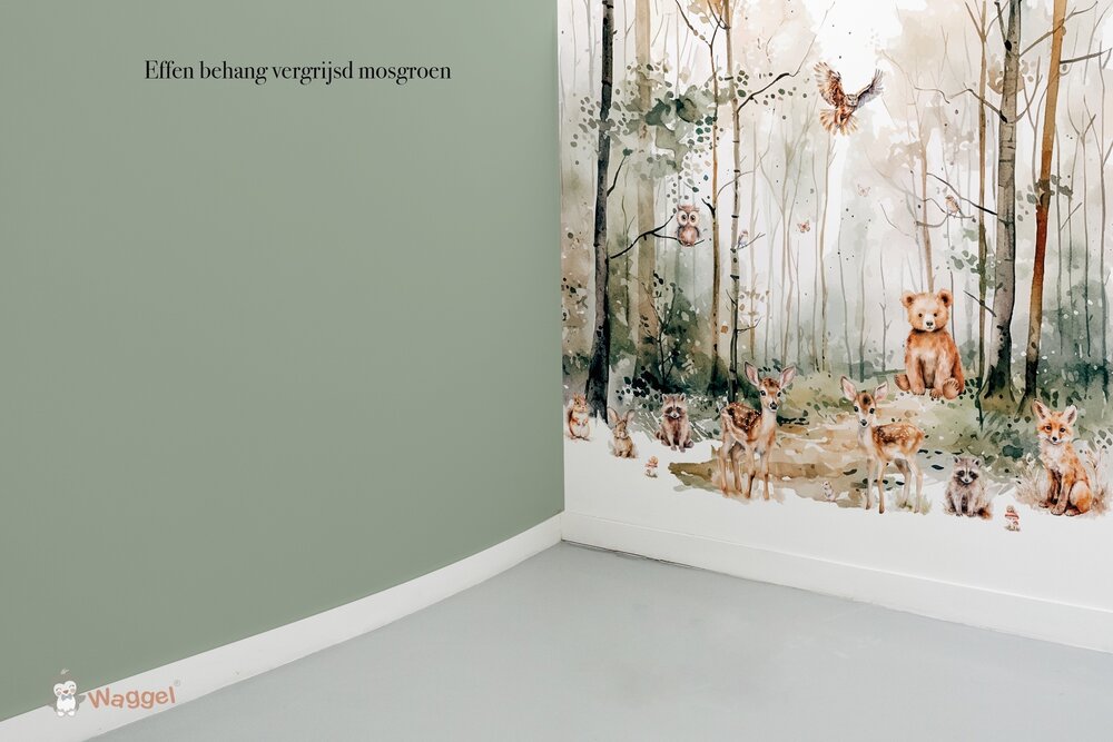 Behang effen bijpassend bij Dreamy woods