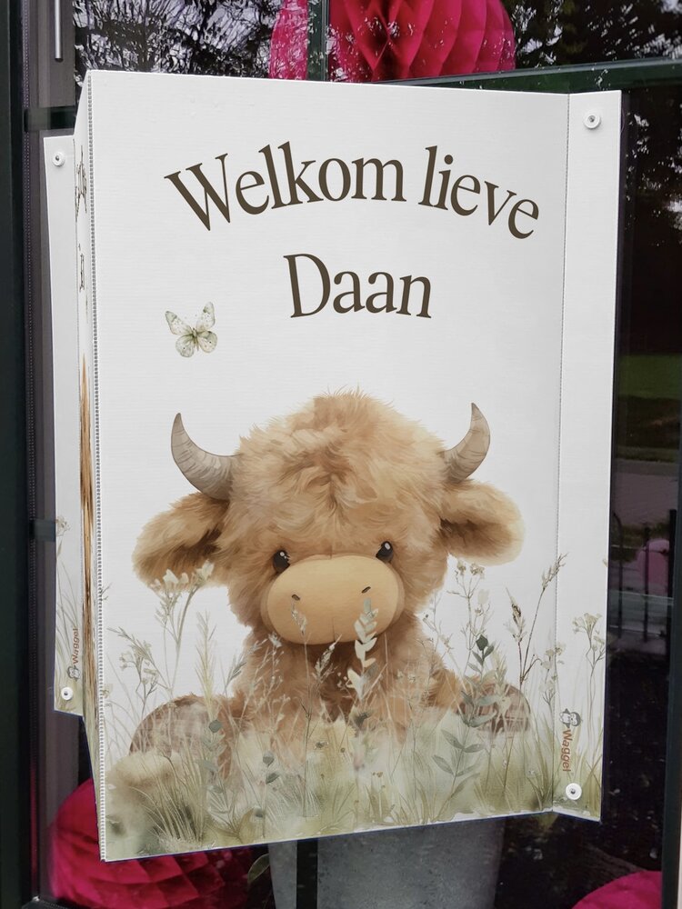 Geboortebord raam Sweethearts schotse hooglander