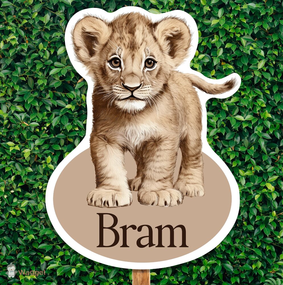 Geboortebord Jungle naturel leeuwtje