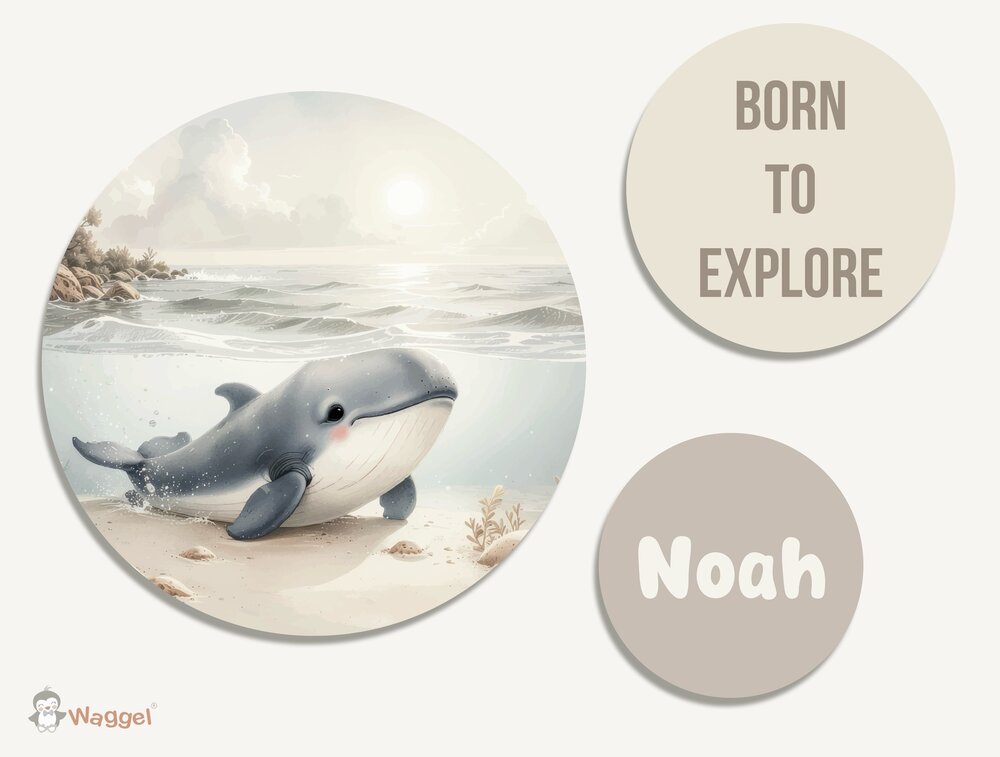 Muurcirkel set Gentle Shores -Ocean Friends Whale- met tekst/quote en naam