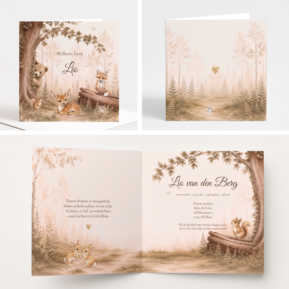 Geboortekaarten Dreamy Woodland 
