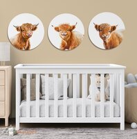 schotse hooglanders muurcirkels