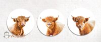 muurcirkels met schotse hooglanders