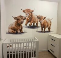 Behang Schotse Hooglanders
