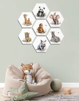Hexagon set African jungle 
