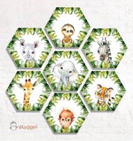 Hexagon set jungle