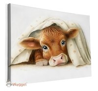 koe canvas