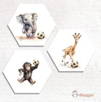 Hexagon set Jungle Ball olifant, giraf en aap