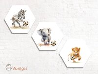 Hexagon set Jungle Ball zebra, olifant en leeuw