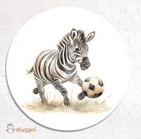 muurcirkel zebra