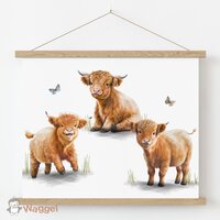poster schotse hooglanders