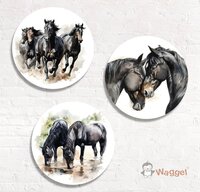 paarden muurcirkels
