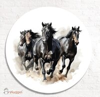 paarden muurcirkel