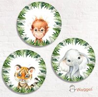 muurcirkels jungle