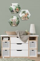 Hexagon set Tropical jungle forest