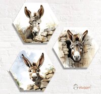 Hexagon set Farmlife ezels