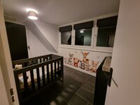 bosdieren babykamer