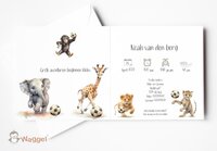 Geboortekaarten Jungle Ball