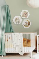 Hexagon set Magical World