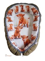 Babynestje Schotse Hooglanders 