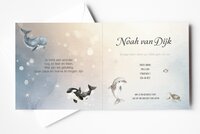 walvis geboortekaartje