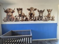 schotse hooglander behang