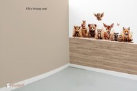 Zand effen behang