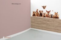 Roze effen behang