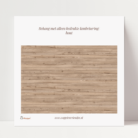 Behang met alleen bedrukte lambrisering