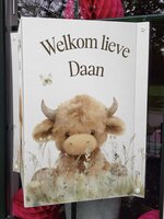Geboortebord raam Sweethearts schotse hooglander