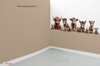 Behang effen op rol bijpassend bij Boerderijdieren naturel gekleurde onderzijde