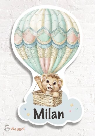 luchtballon geboortebord