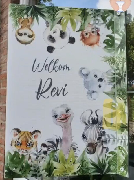 jungle raamgeboortebord